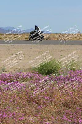 media/Mar-12-2023-SoCal Trackdays (Sun) [[d4c8249724]]/Turn 15 Inside Bloom (130pm)/